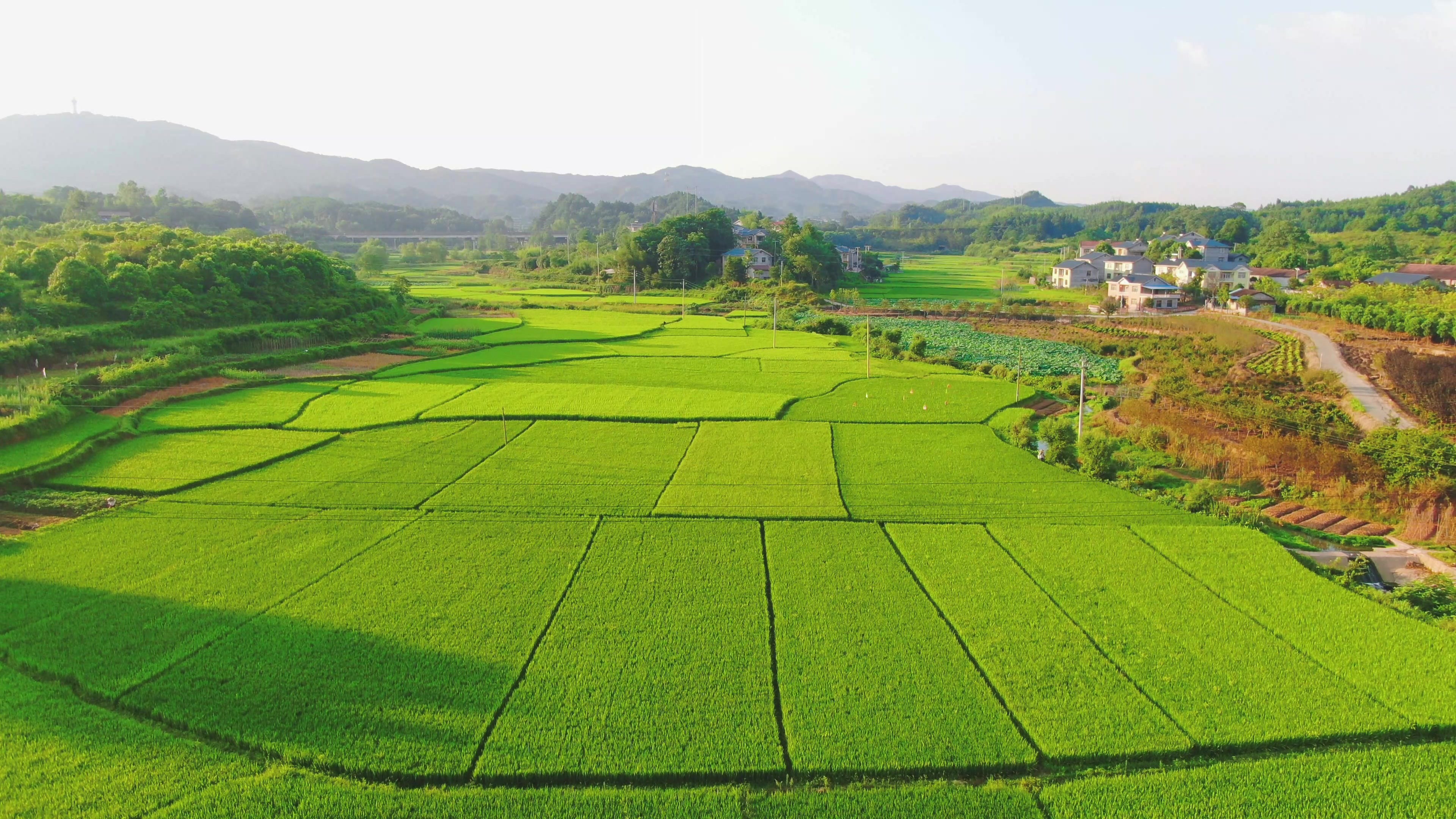 Desa Ngajum - Image 1