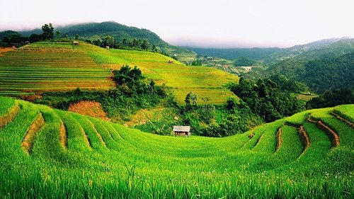 Desa Ngajum - Image 2